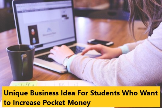 Unique Business Idea For Students Who Want to Increase Pocket Money